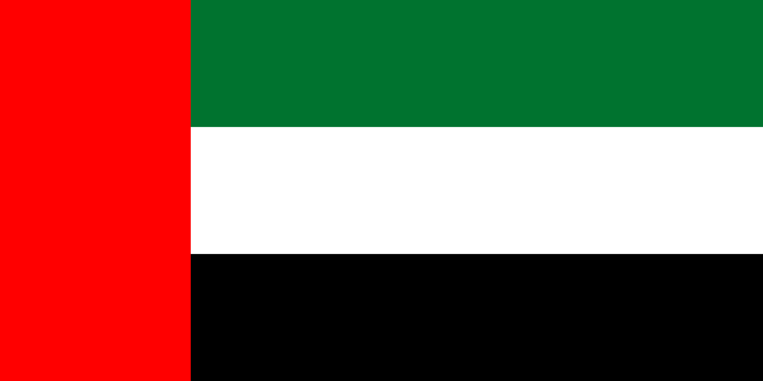 UAE Flag Square