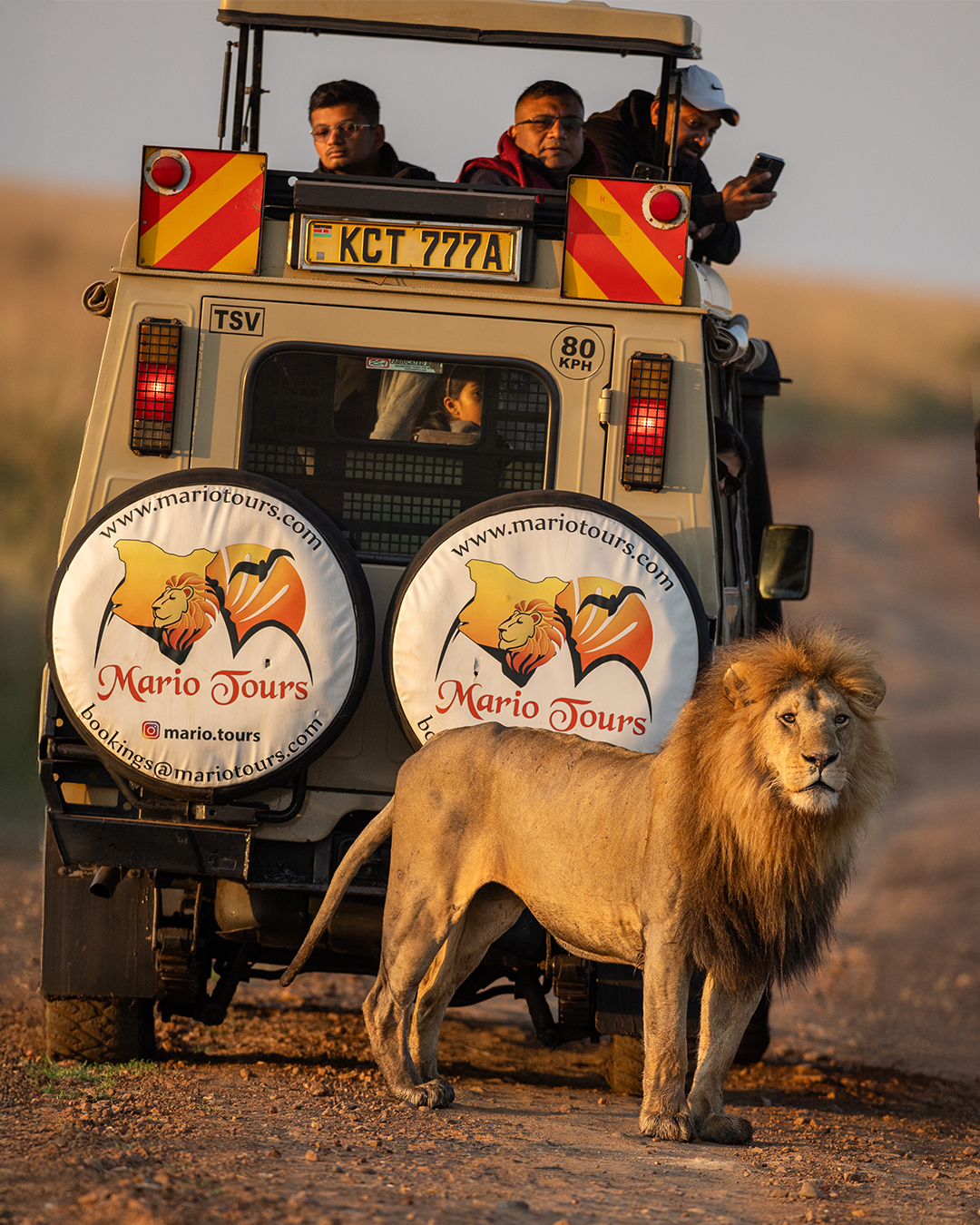 wildlife safari charges
