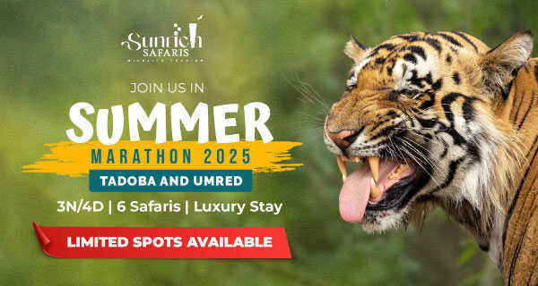 Tanzania Big 5 Special