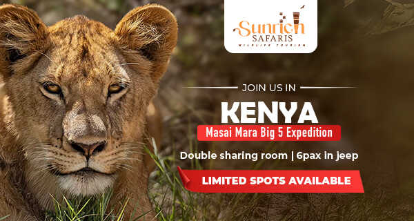 Masai Mara Great Migration Photo Tour
