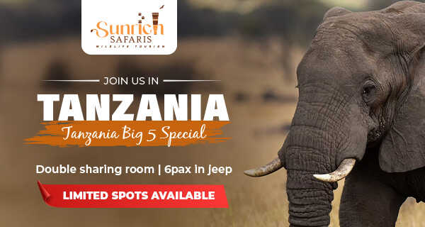 Tanzania Big 5 Special