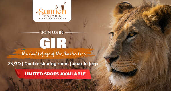 GIR NATIONAL PARK