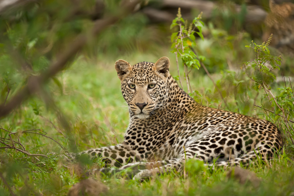 PENCH NATIONAL PARK