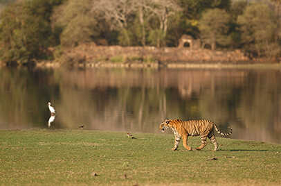 TADOBA NATIONAL PARK